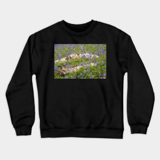 Bluebells Crewneck Sweatshirt